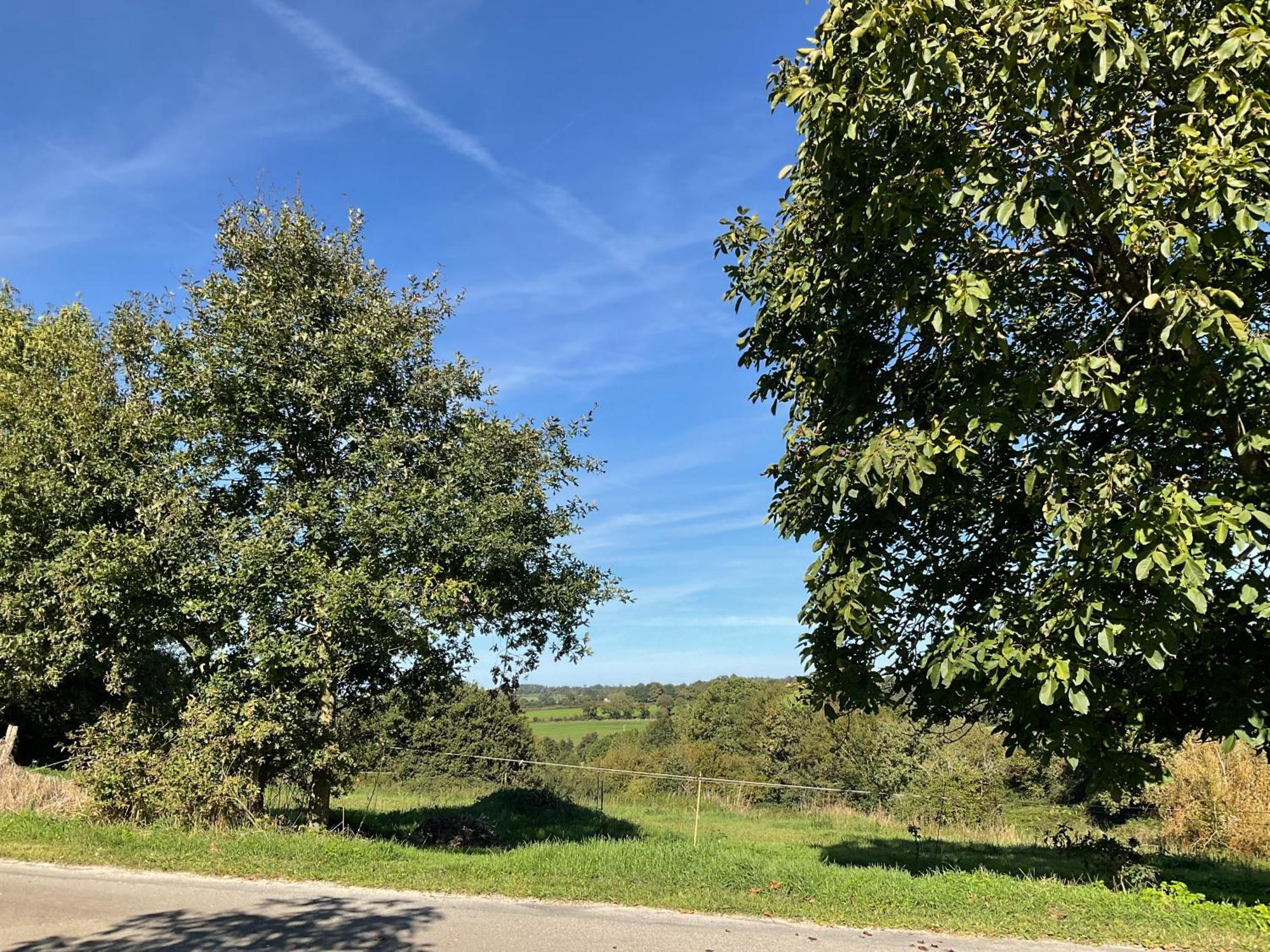 La Brionniere Panzió Saint-Pierre-du-Chemin Kültér fotó